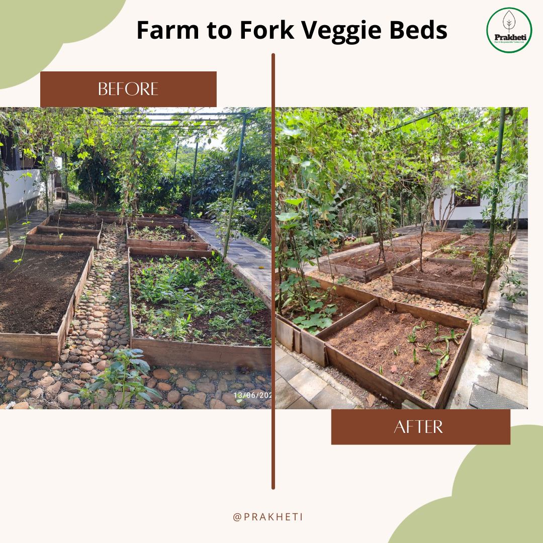 Farm to fork veggie beds before and after
