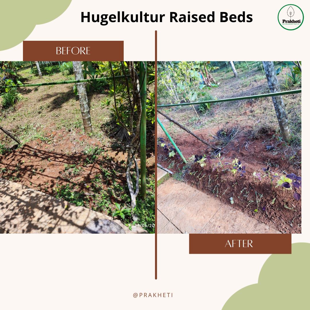 Hugelkultur raised beds before and after